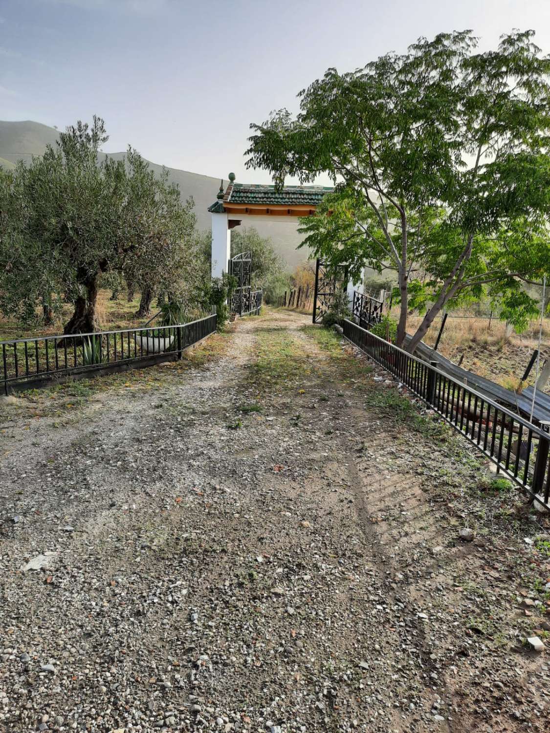 Domain en vente à Casarabonela