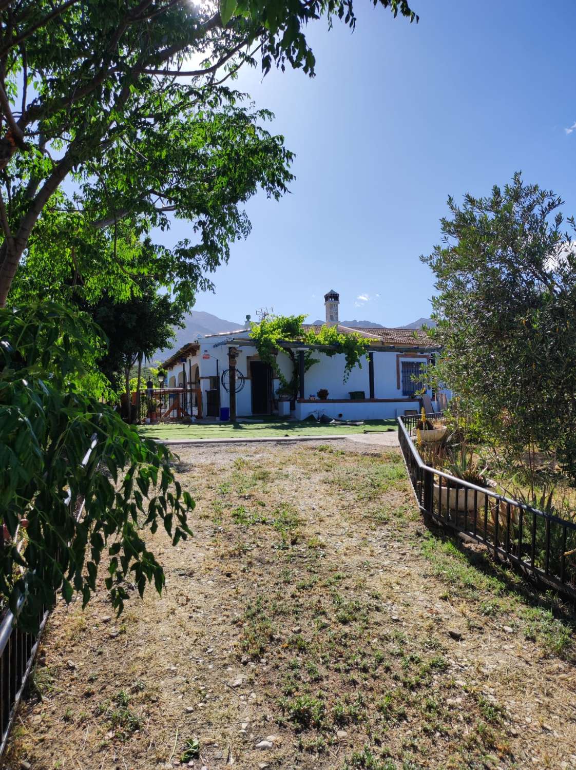 Domain en vente à Casarabonela