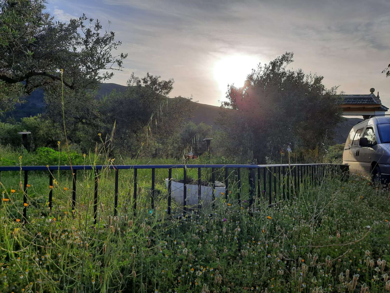 Domain en vente à Casarabonela