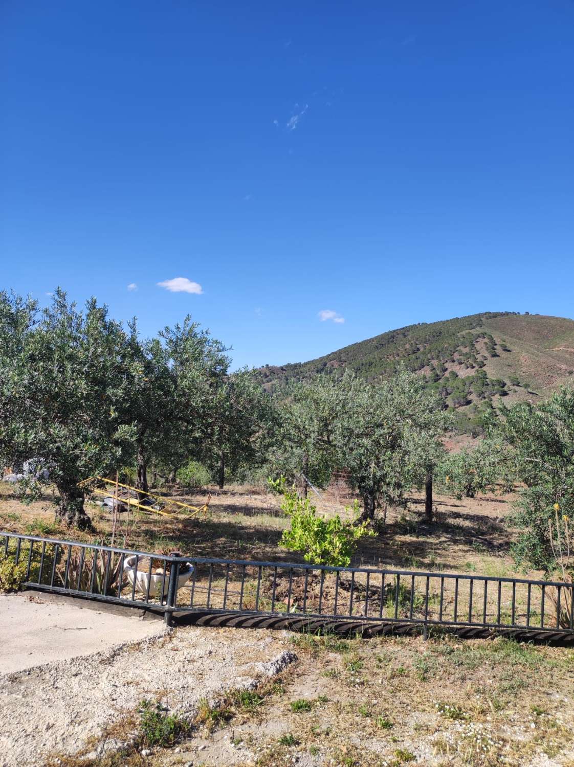 Domain en vente à Casarabonela