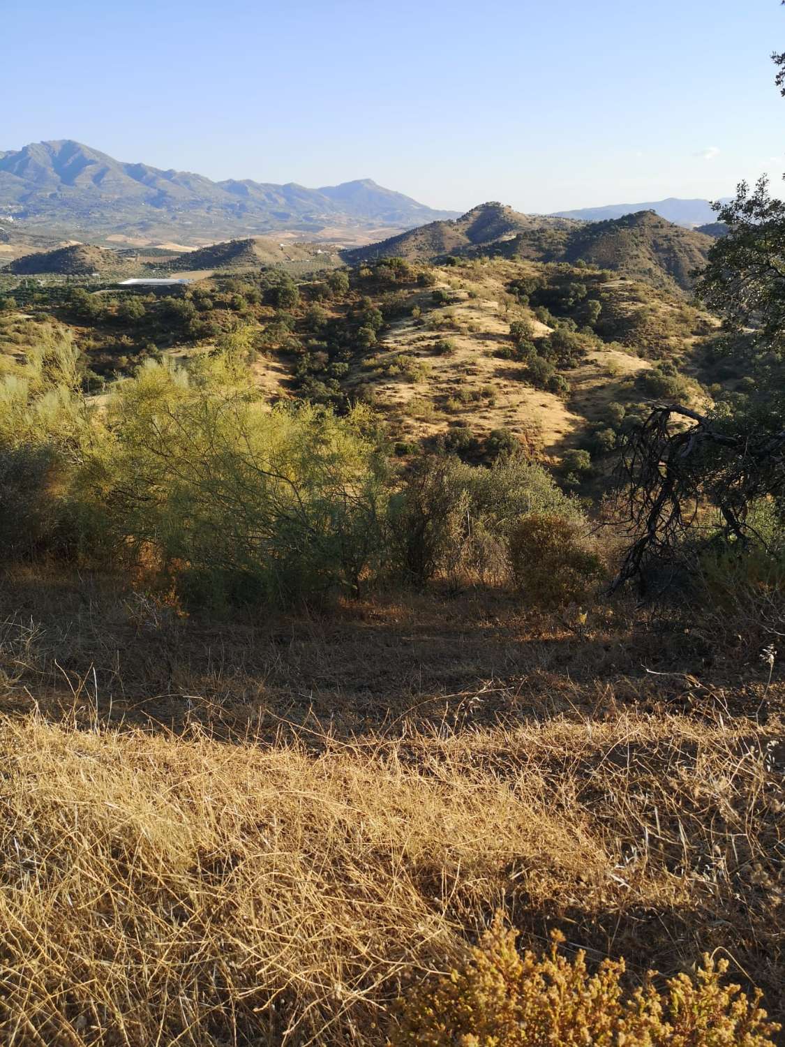 Parcela en venta en Coín