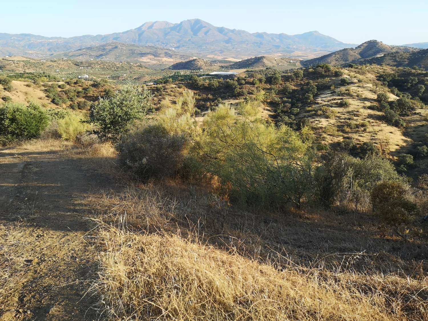 Parcela en venta en Coín