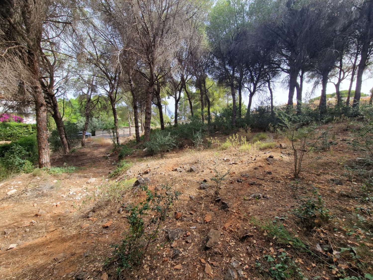 Parcela en venta en Alhaurín de la Torre