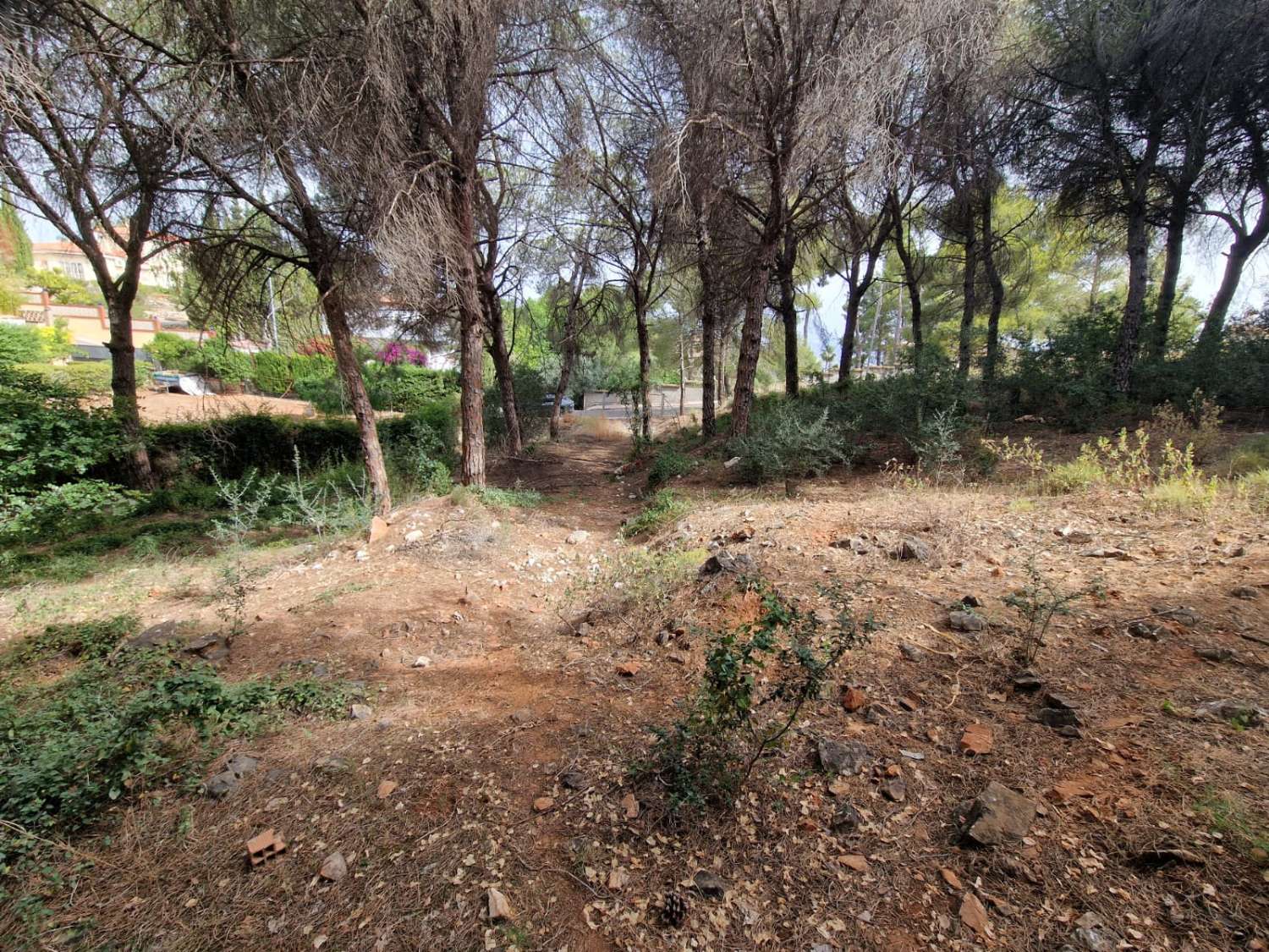 Parcela en venta en Alhaurín de la Torre