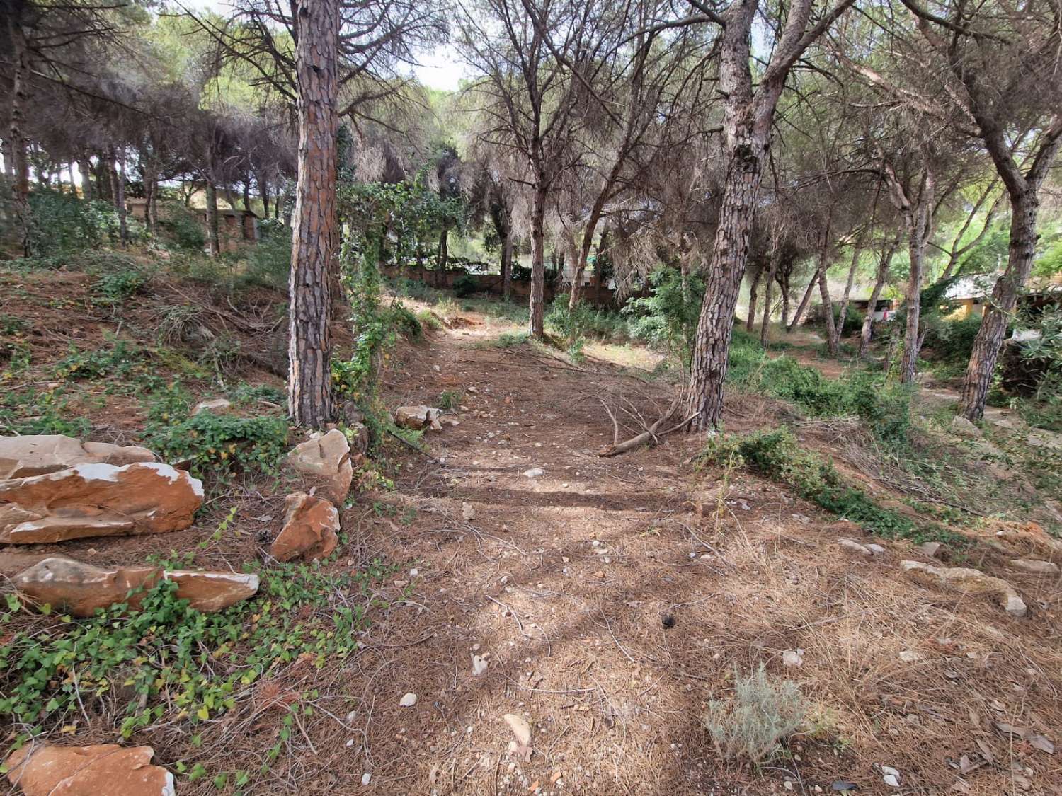 Parcela en venta en Alhaurín de la Torre