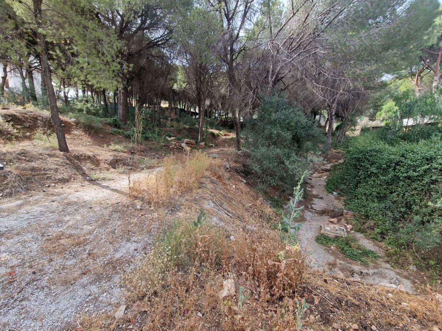 Parcela en venta en Alhaurín de la Torre