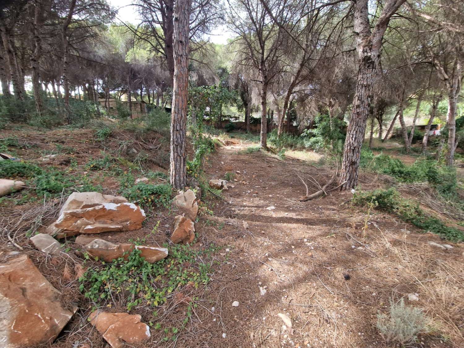 Parcela en venta en Alhaurín de la Torre