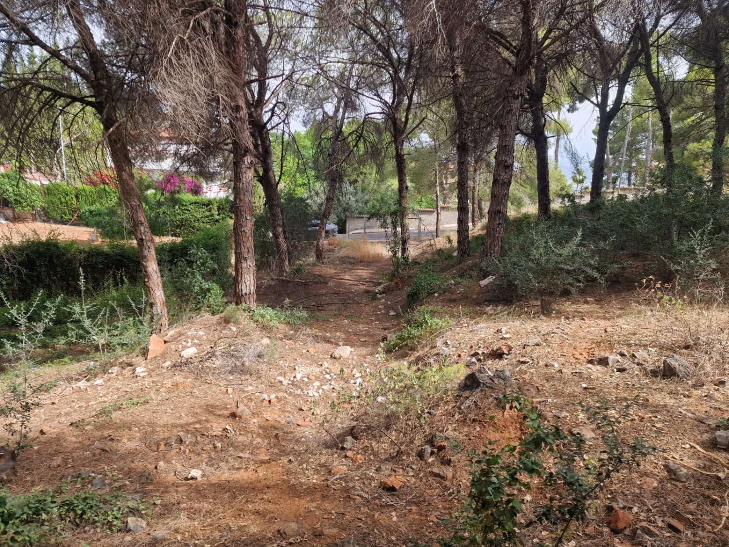 Parcela en venta en Alhaurín de la Torre