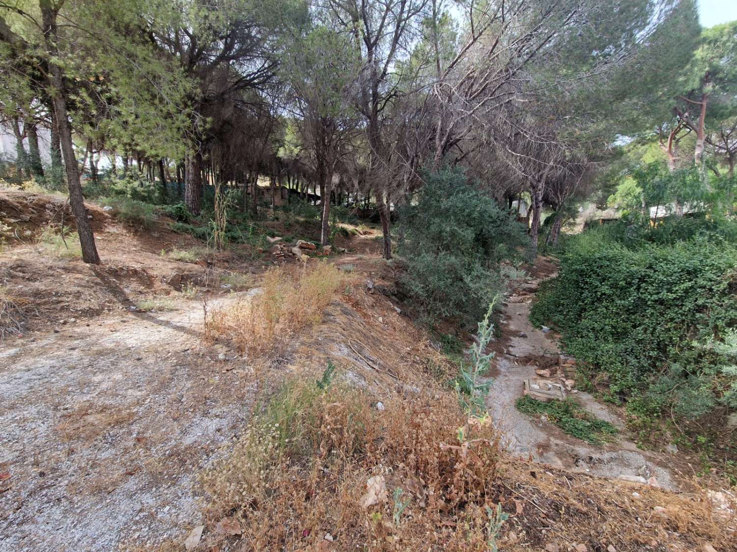 Parcela en venta en Alhaurín de la Torre