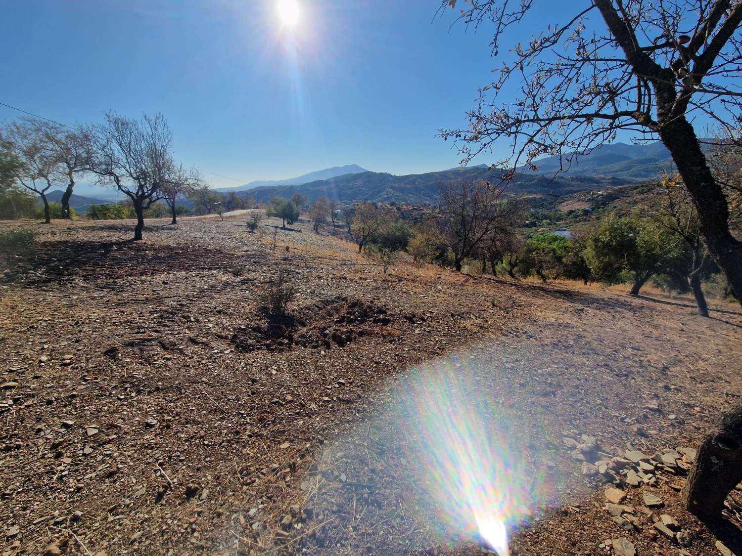 Villa for sale in Guaro