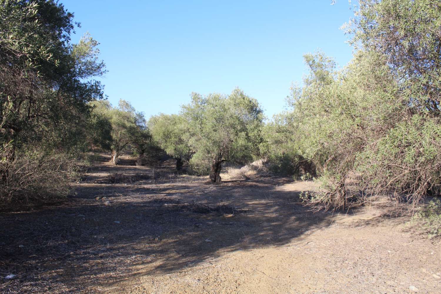 Parcela en venta en Álora