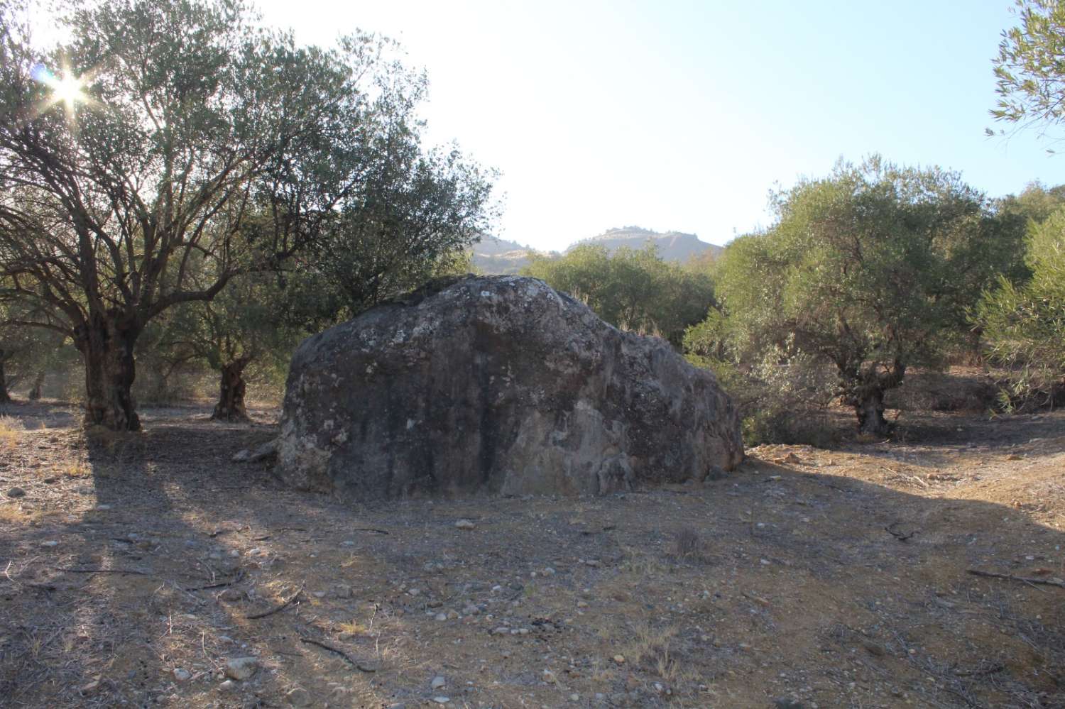 Parcela en venta en Álora