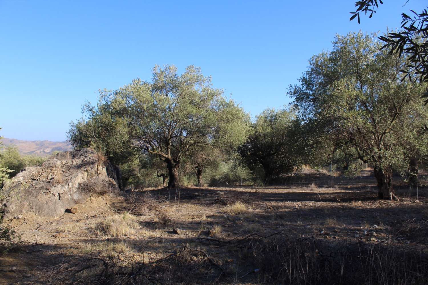Parcela en venta en Álora