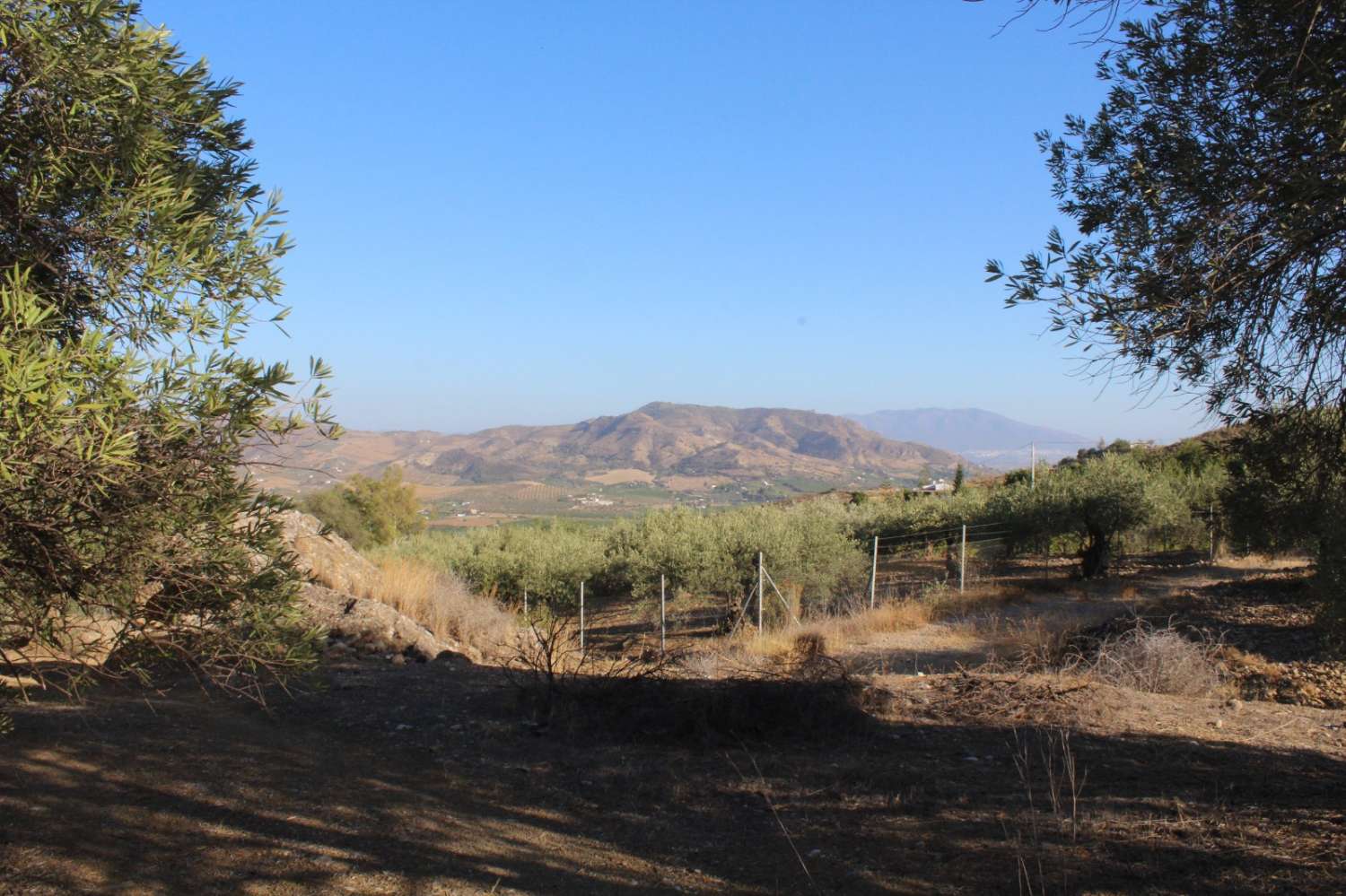Parcela en venta en Álora