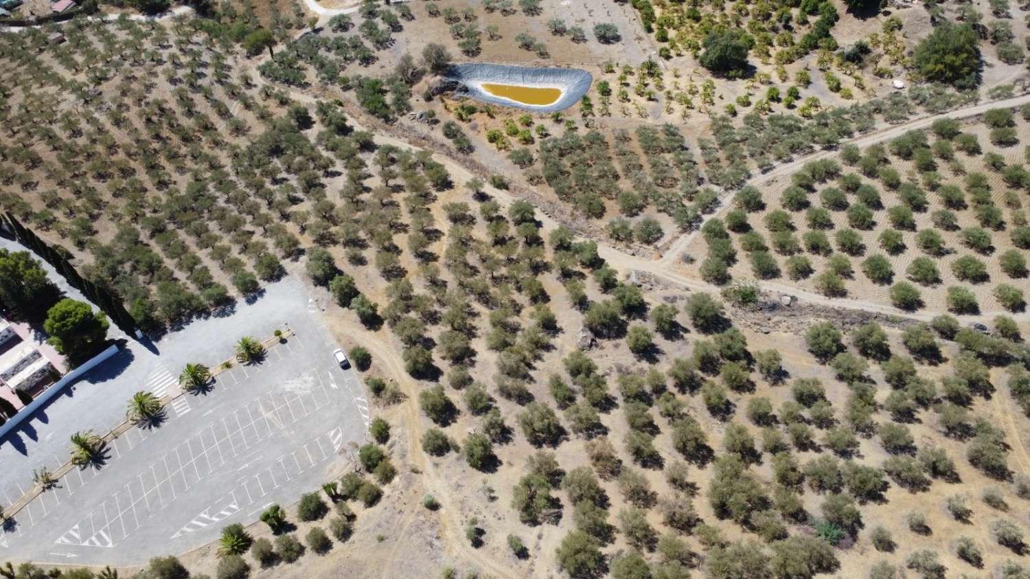 Parcela en venta en Álora