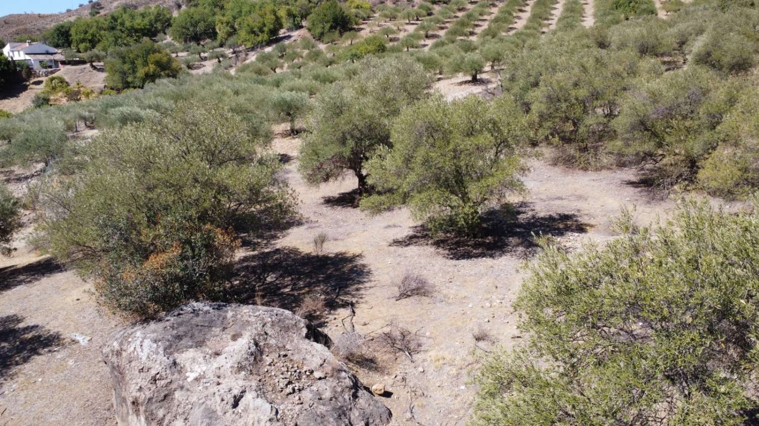 Parcela en venta en Álora