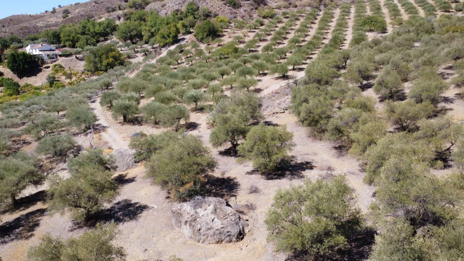 Parcela en venta en Álora