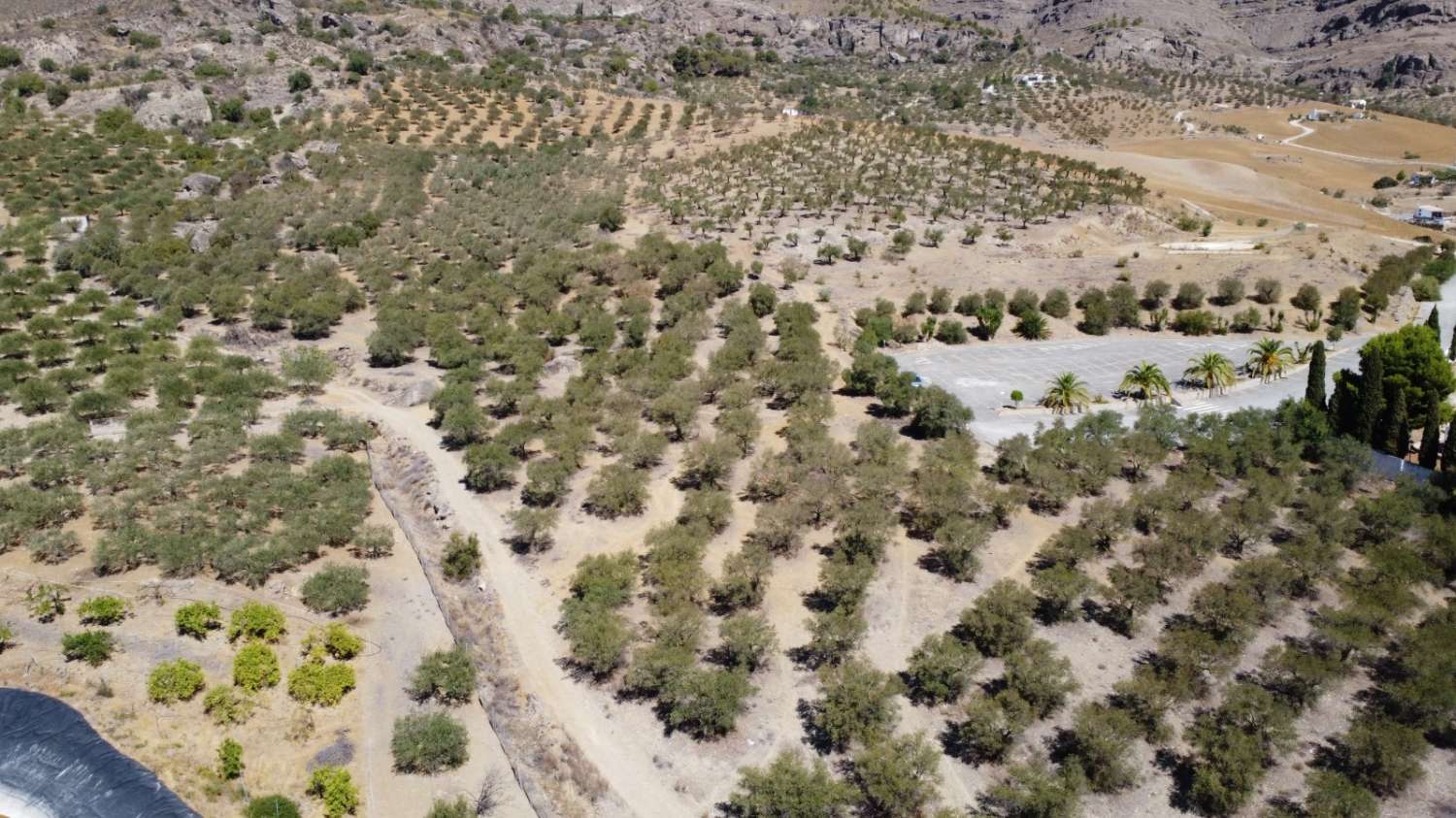 Parcela en venta en Álora