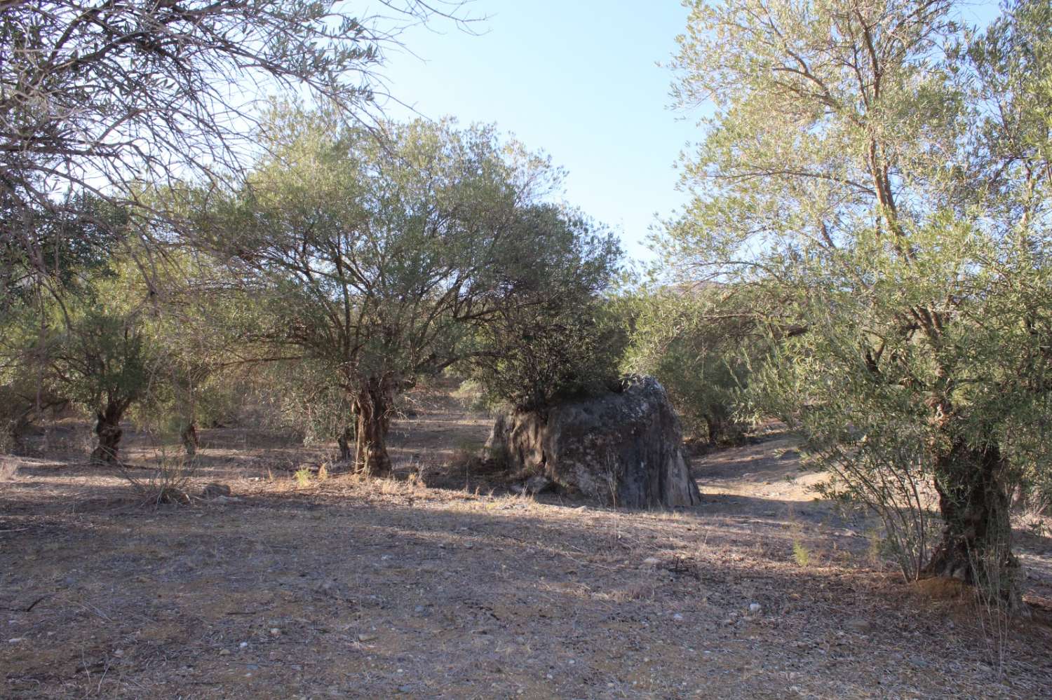 Parcela en venta en Álora