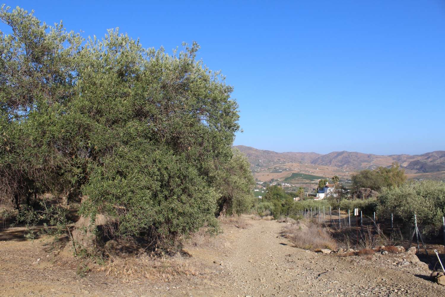 Parcela en venta en Álora