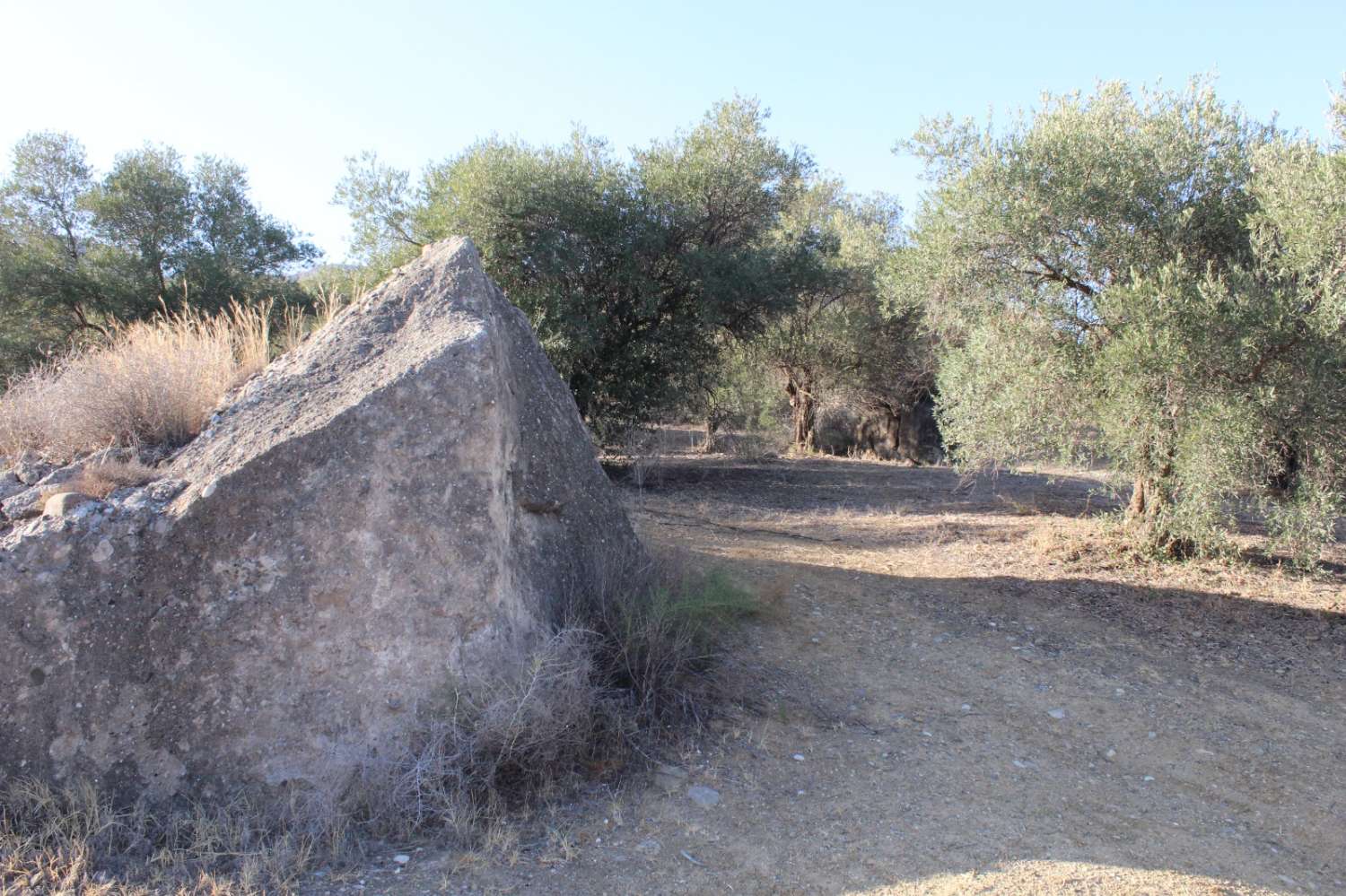 Parcela en venta en Álora