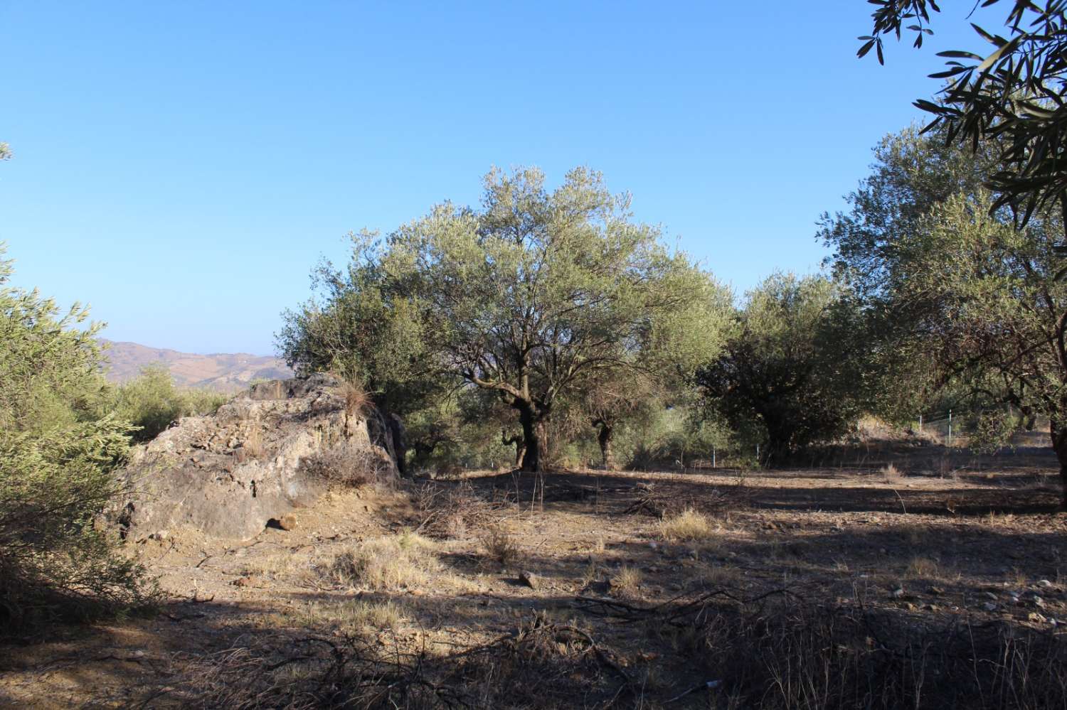Parcela en venta en Álora
