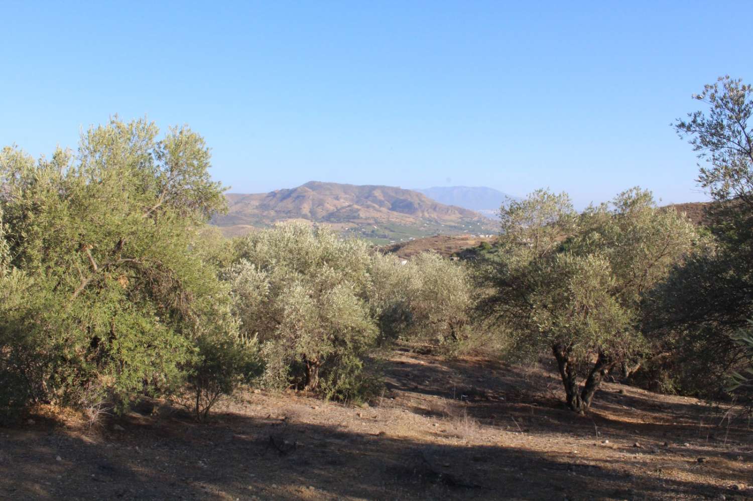 Parcela en venta en Álora