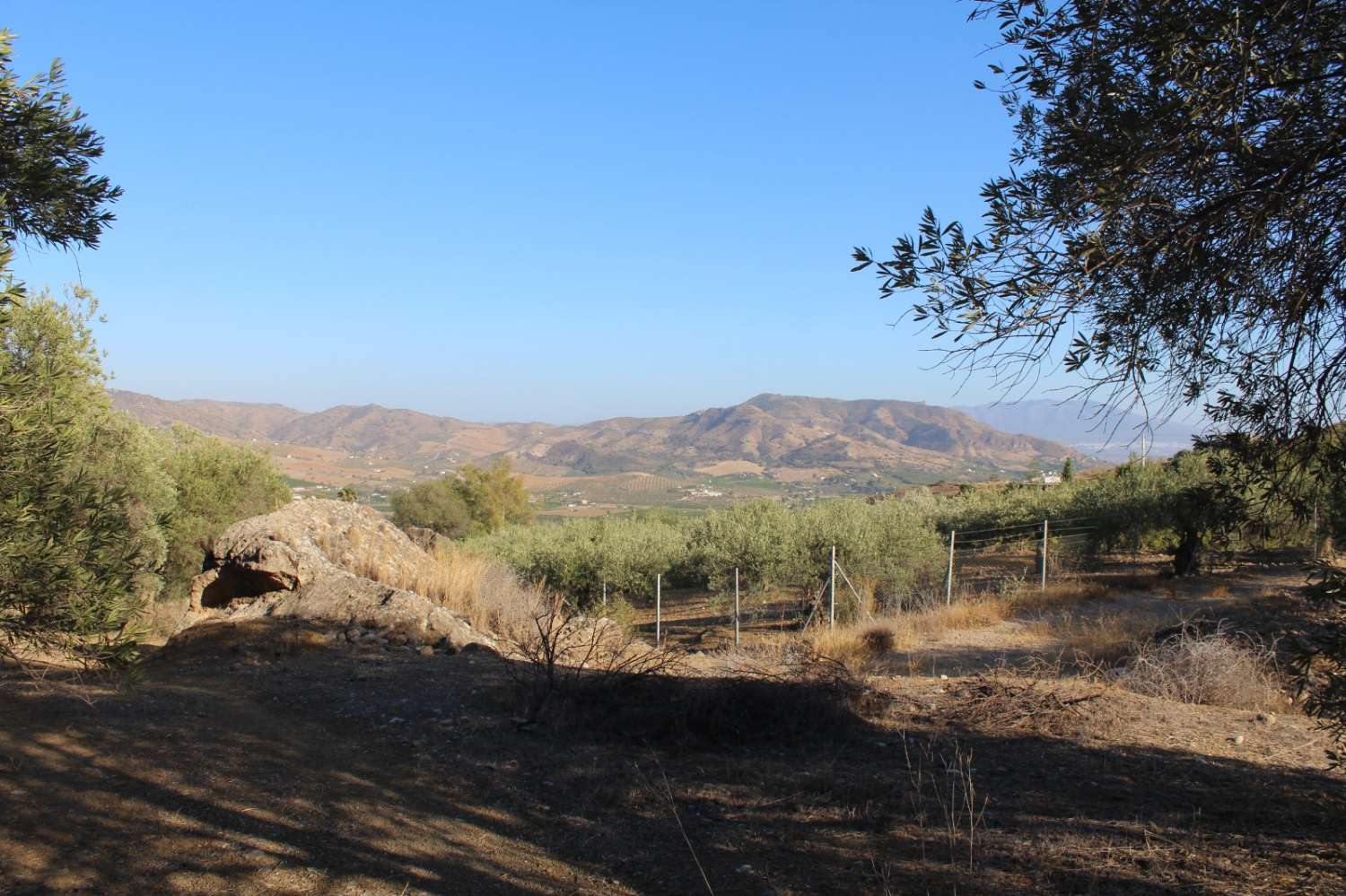 Parcela en venta en Álora