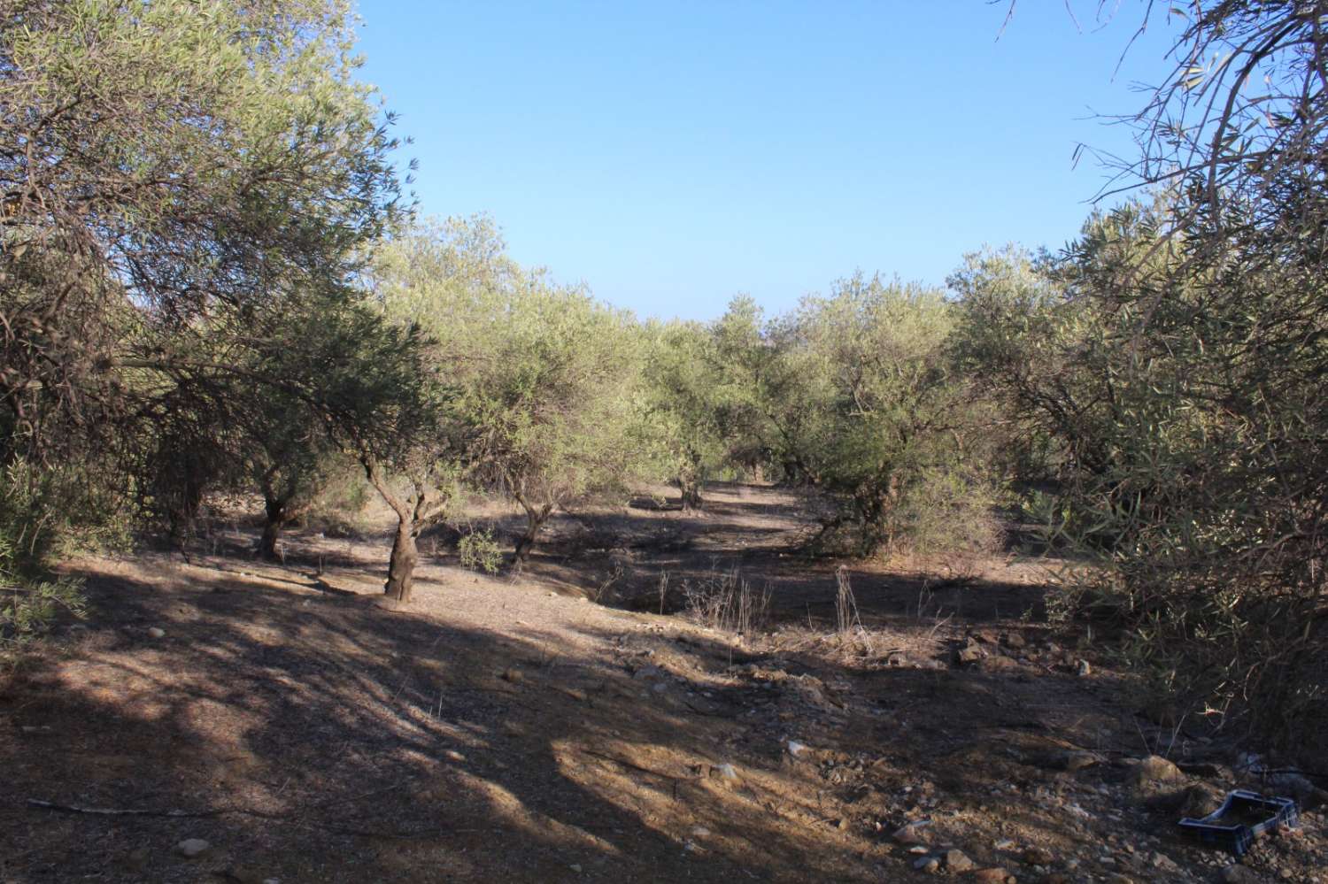 Parcela en venta en Álora