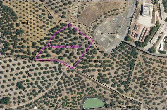 Parcela en venta en Álora