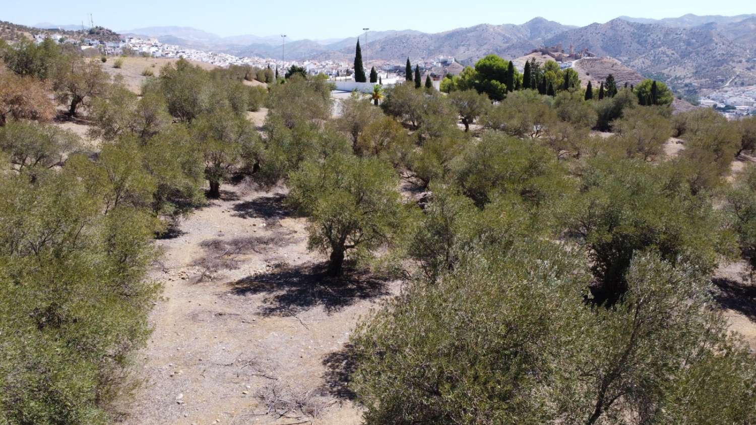 Parcela en venta en Álora
