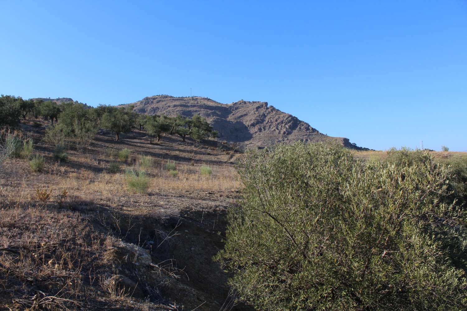 Parcela en venta en Álora