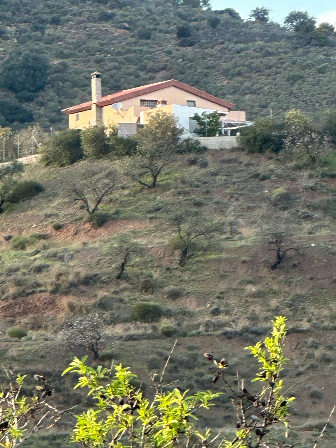 Country Property for sale in Guaro