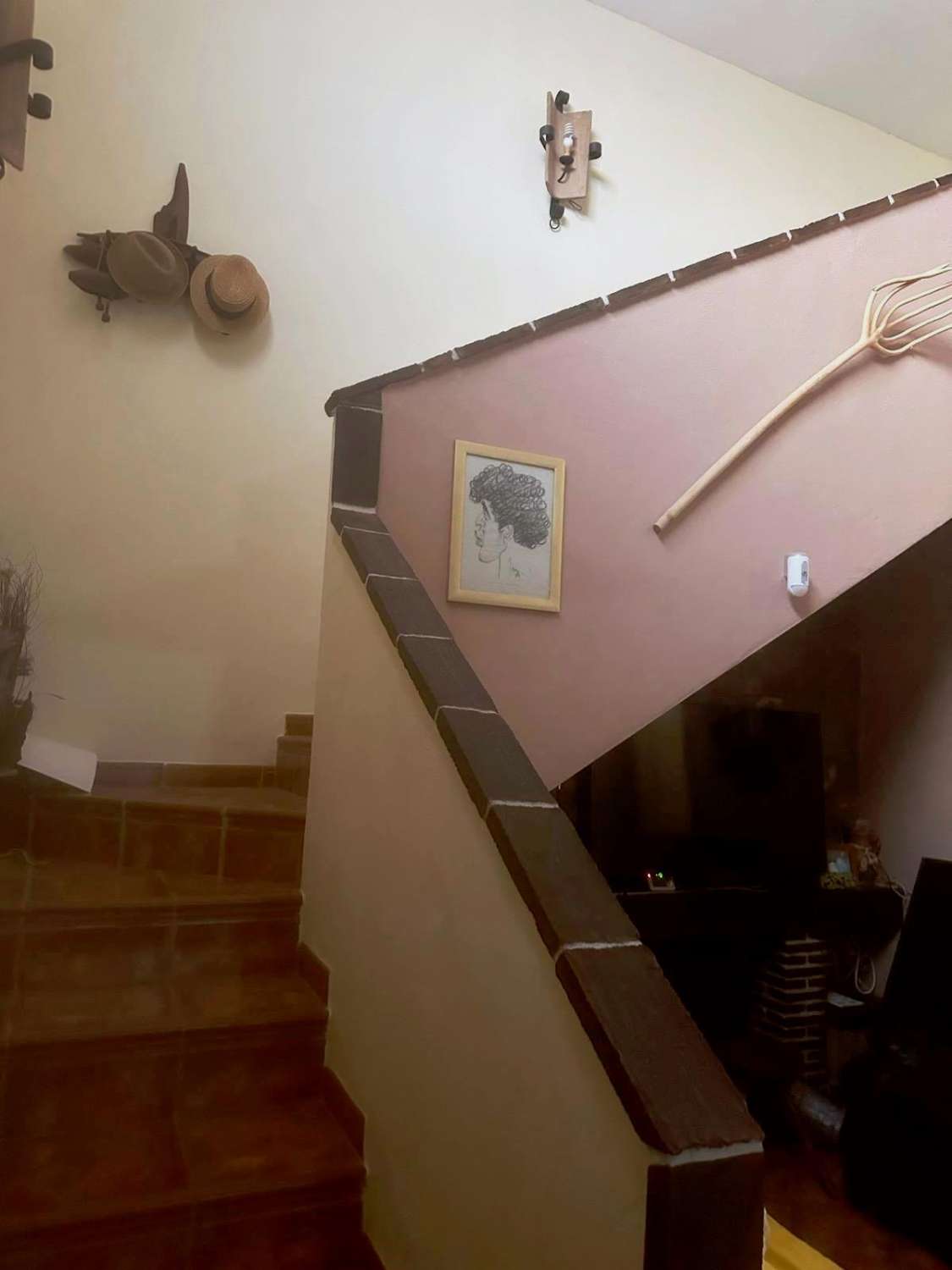 Country Property for sale in Guaro