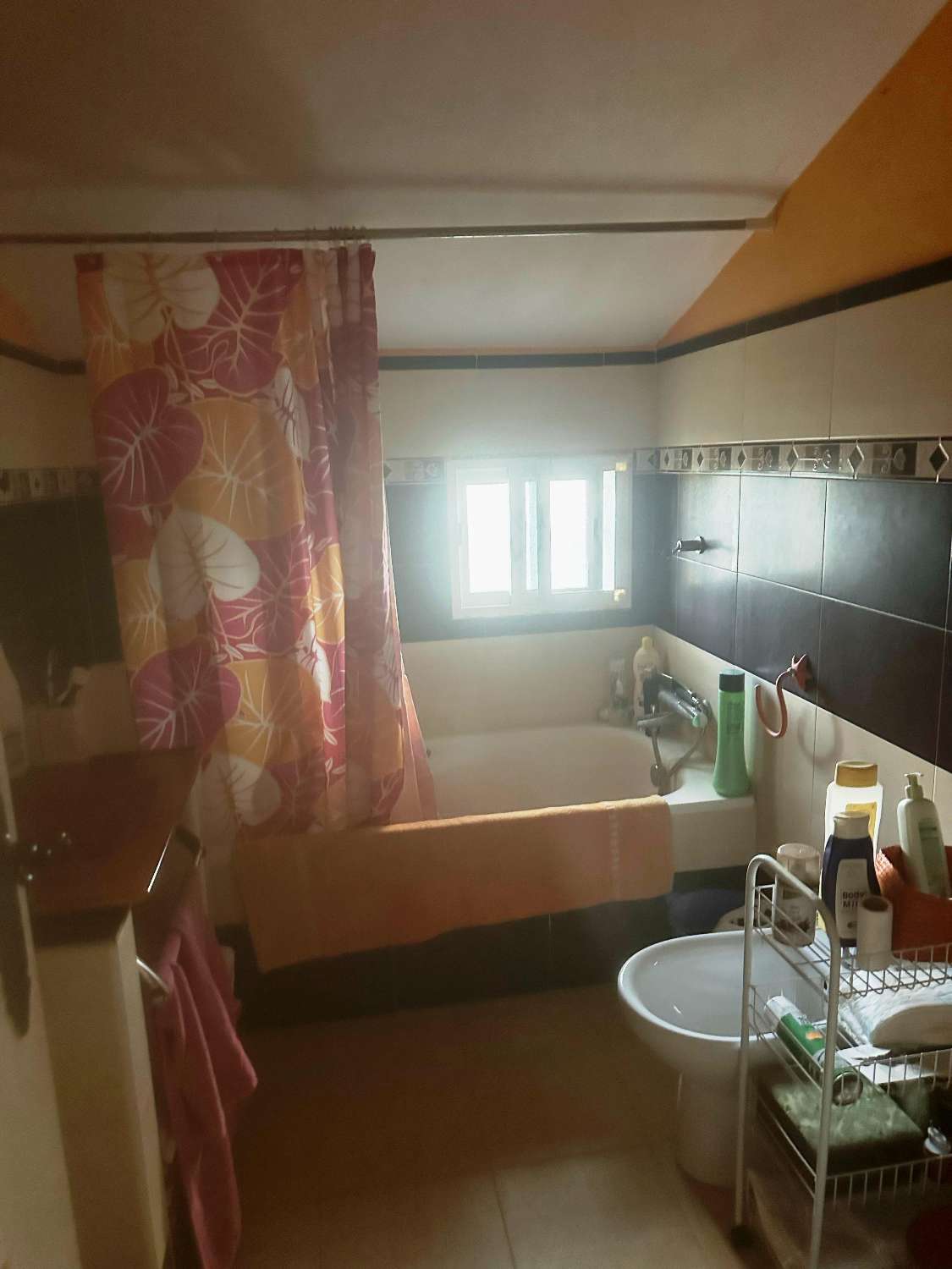 Country Property for sale in Guaro