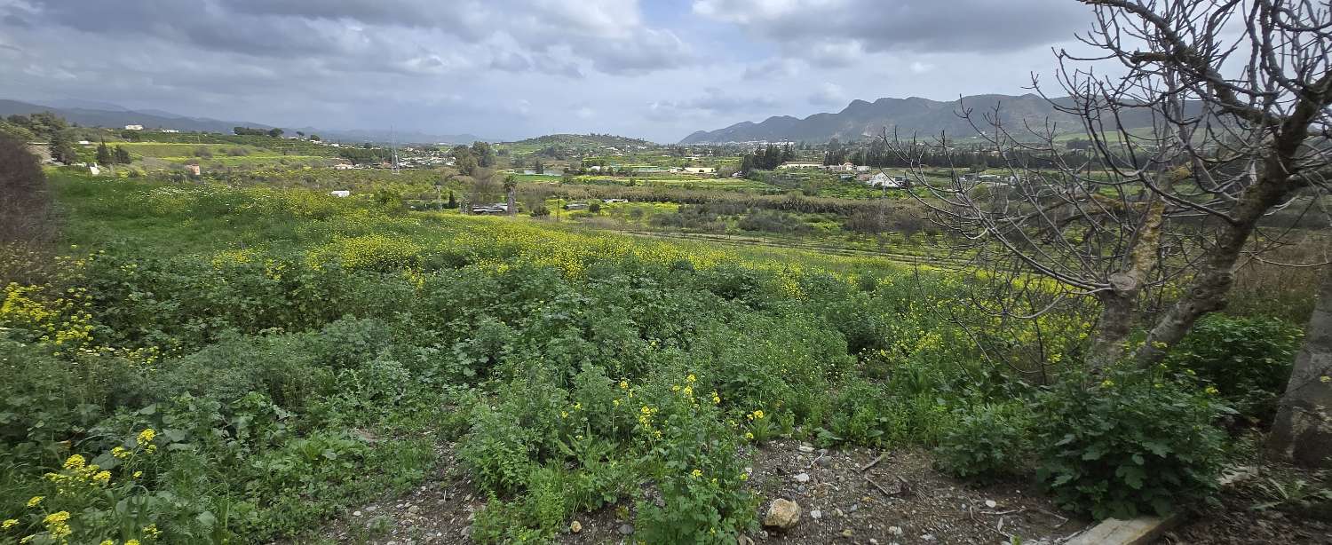 Domain en vente à Alhaurín el Grande