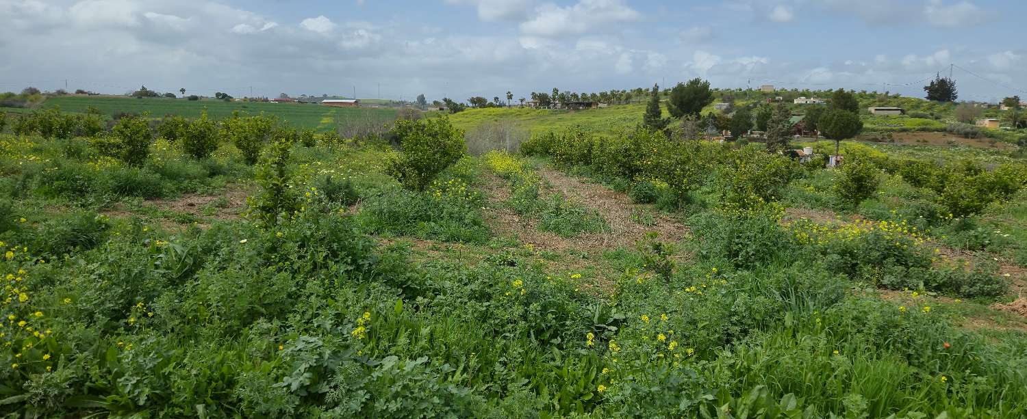 Grundstück zum verkauf in Villafranco del Guadalhorce