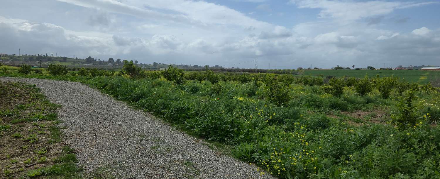 Grundstück zum verkauf in Villafranco del Guadalhorce