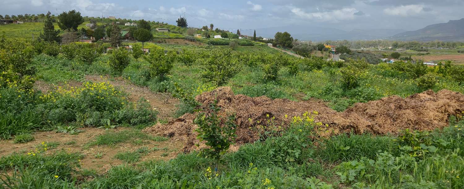 Country Property for sale in Villafranco del Guadalhorce