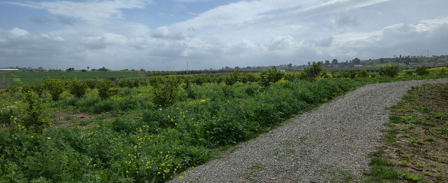 Grundstück zum verkauf in Villafranco del Guadalhorce
