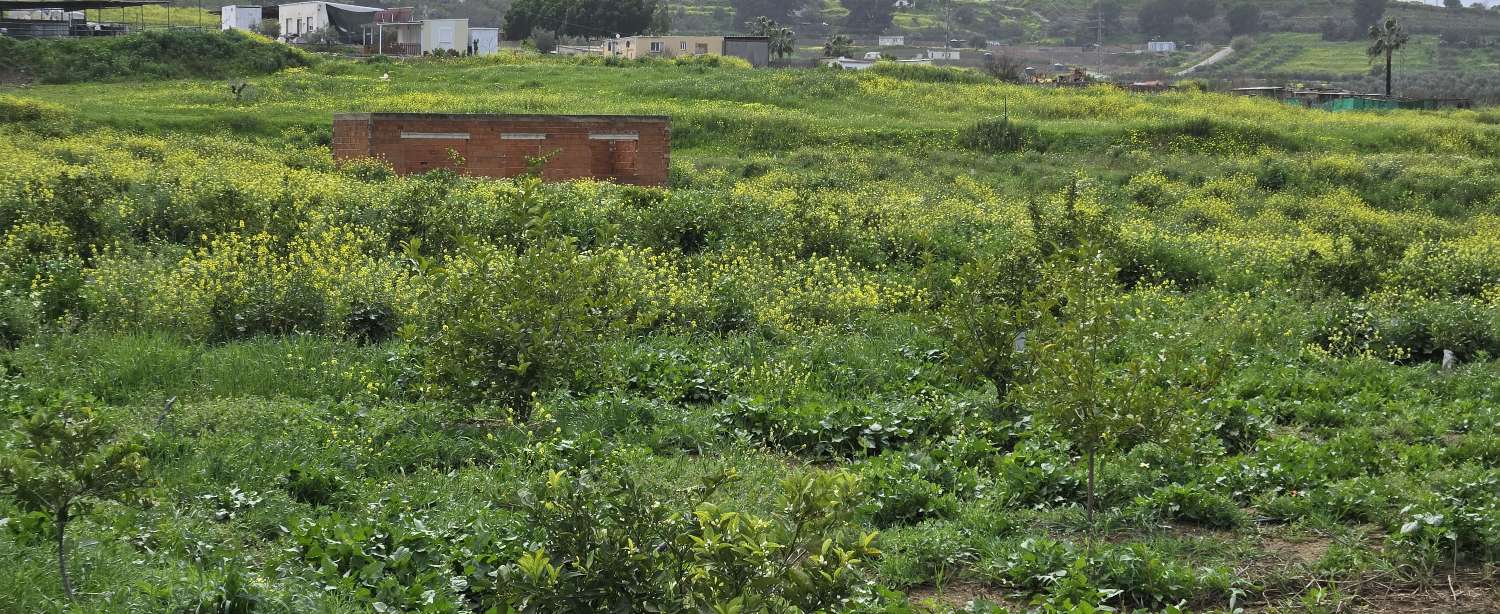 Country Property for sale in Villafranco del Guadalhorce