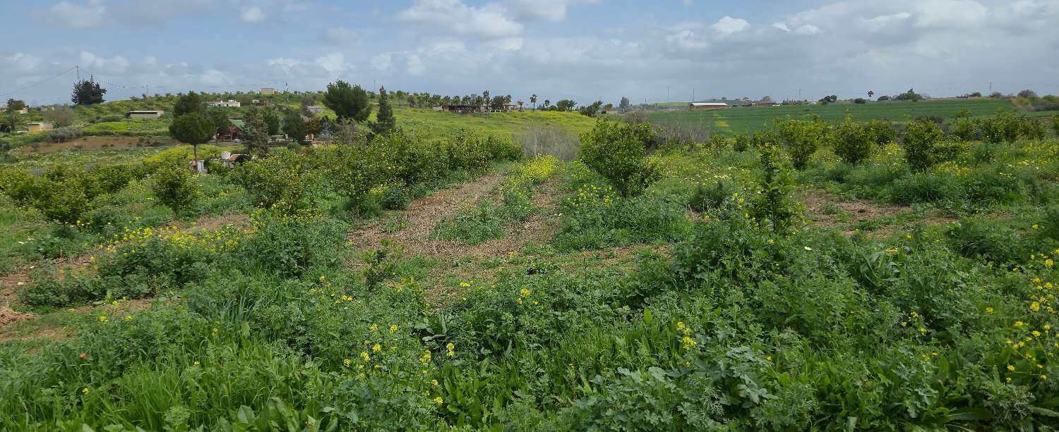 Grundstück zum verkauf in Villafranco del Guadalhorce