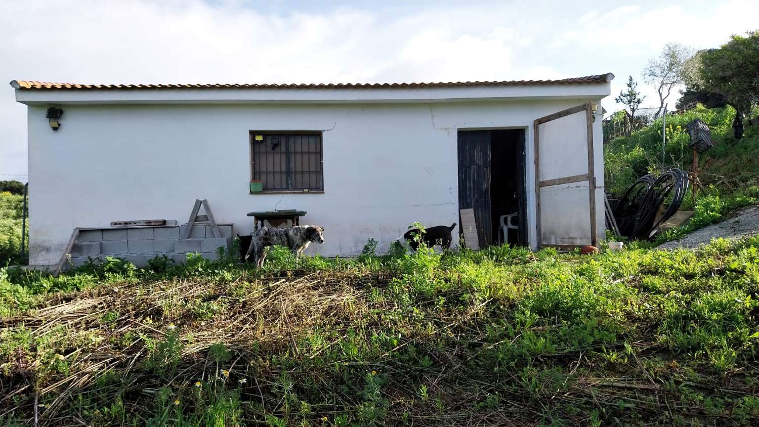 Domain en vente à Alhaurín el Grande