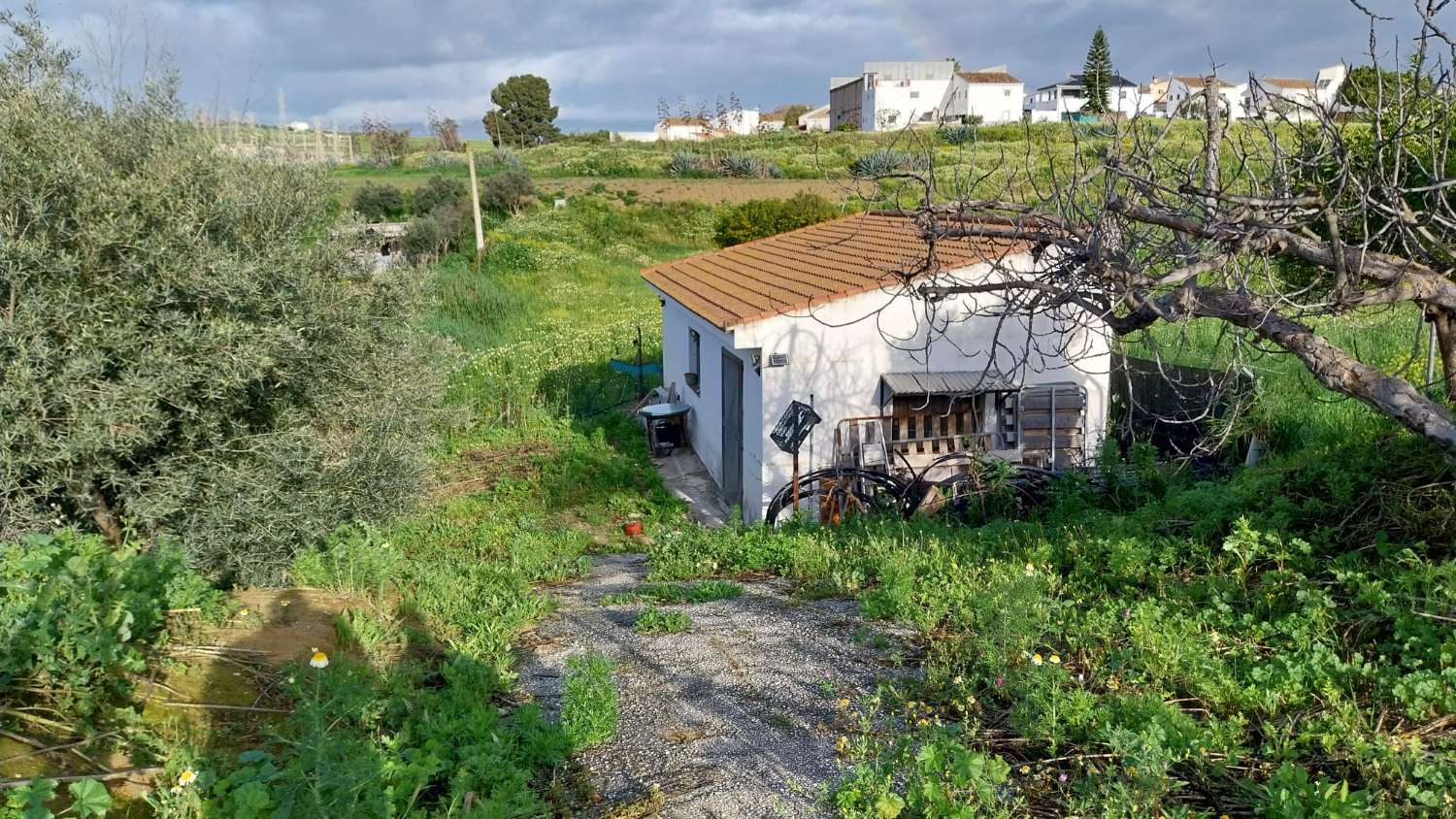 Domain en vente à Alhaurín el Grande