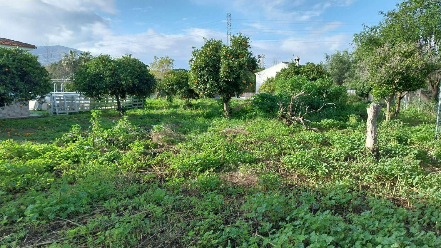 Domain en vente à Alhaurín el Grande