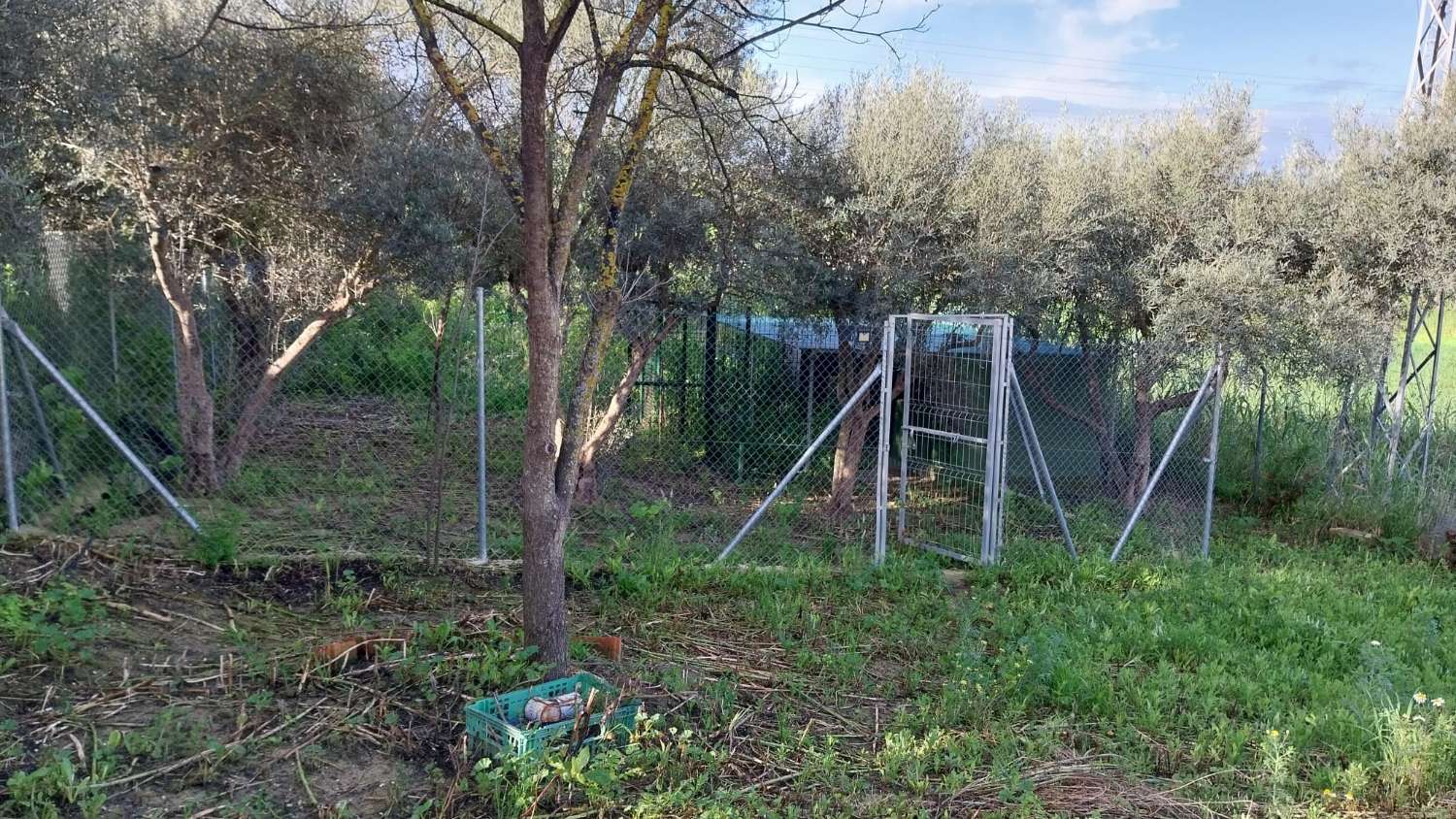 Domain en vente à Alhaurín el Grande