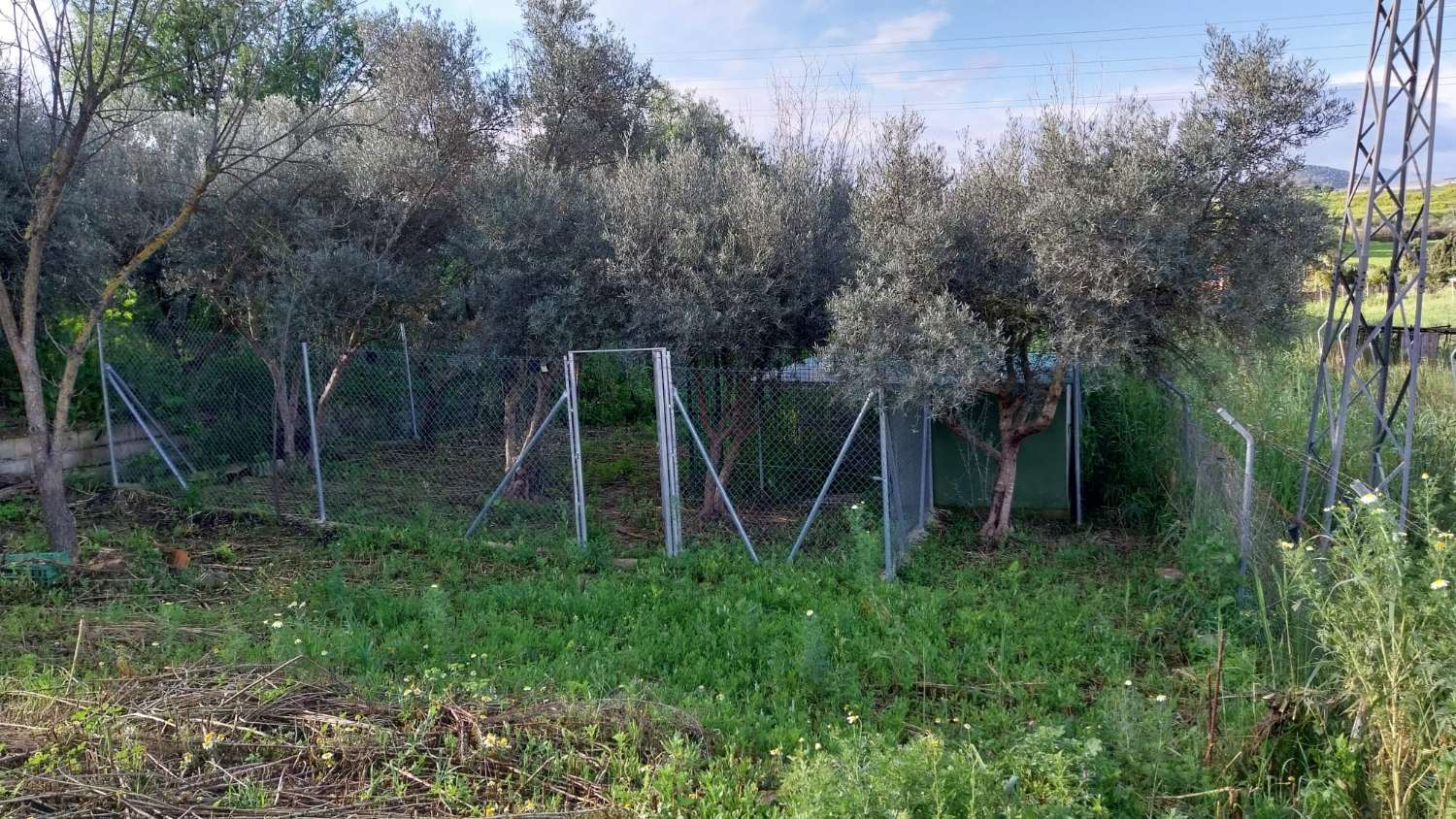 Domain en vente à Alhaurín el Grande