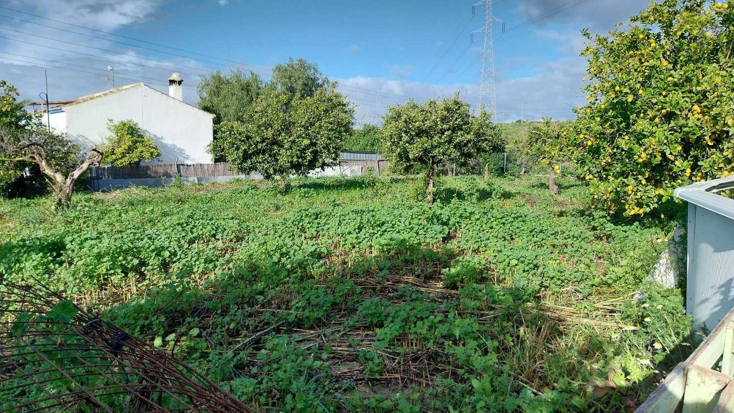Domain en vente à Alhaurín el Grande