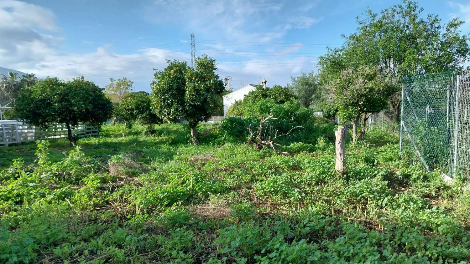 Domain en vente à Alhaurín el Grande