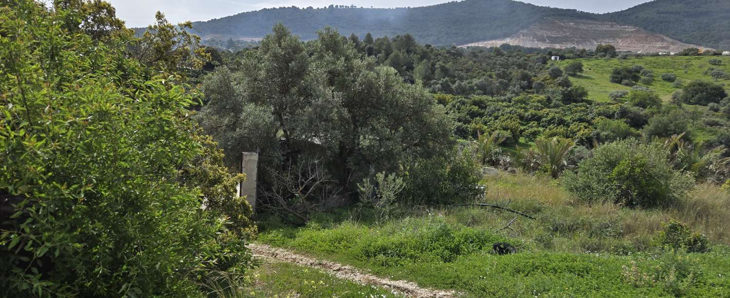 Parcela en venta en Coín